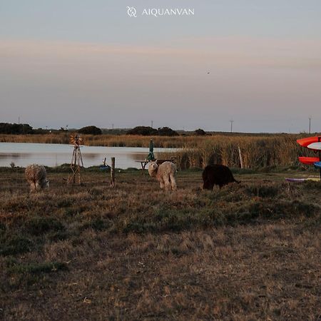 Coorong Island Retreat - Farm Stay At Pet Friendly Property Meningie Extérieur photo