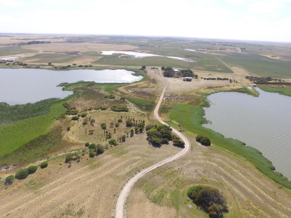 Coorong Island Retreat - Farm Stay At Pet Friendly Property Meningie Extérieur photo