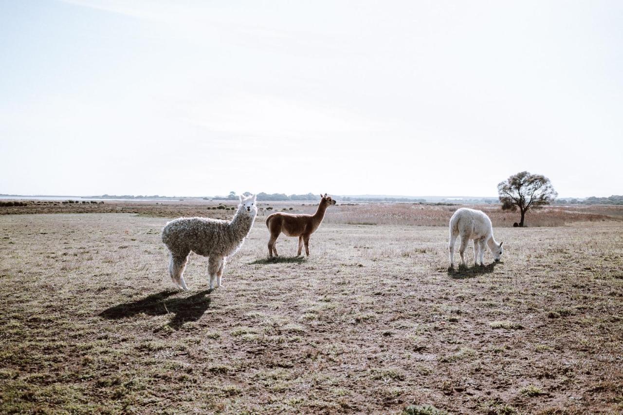 Coorong Island Retreat - Farm Stay At Pet Friendly Property Meningie Extérieur photo