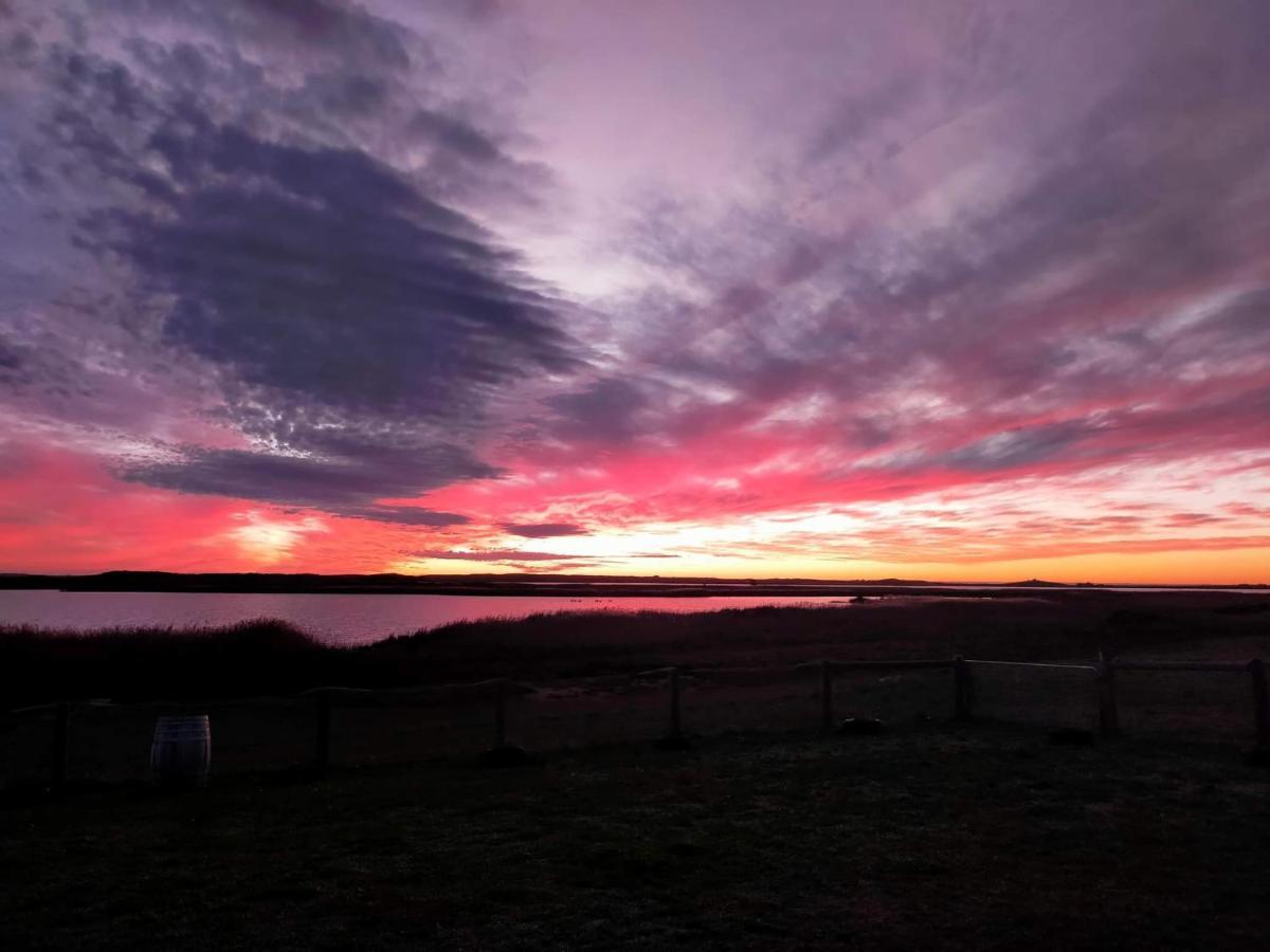 Coorong Island Retreat - Farm Stay At Pet Friendly Property Meningie Extérieur photo