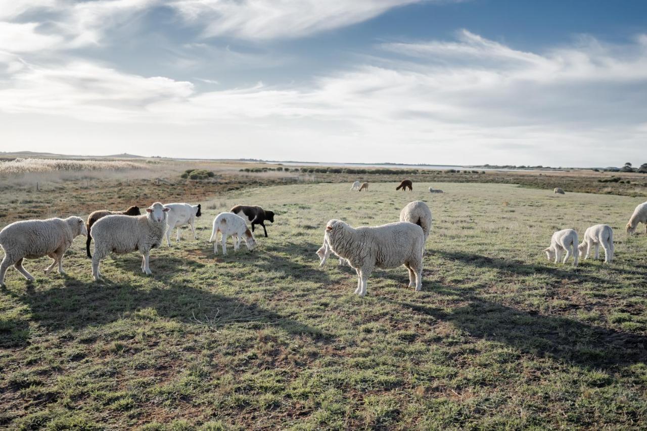 Coorong Island Retreat - Farm Stay At Pet Friendly Property Meningie Extérieur photo