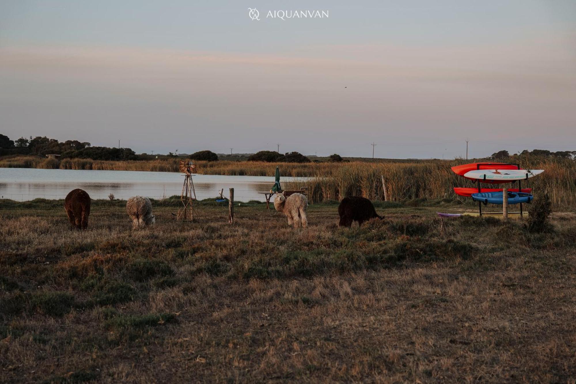 Coorong Island Retreat - Farm Stay At Pet Friendly Property Meningie Extérieur photo